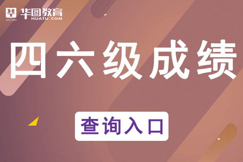 四六級(jí)成績(jī)查詢顯示“未查詢到相關(guān)信息”的常見(jiàn)原因與解決方案